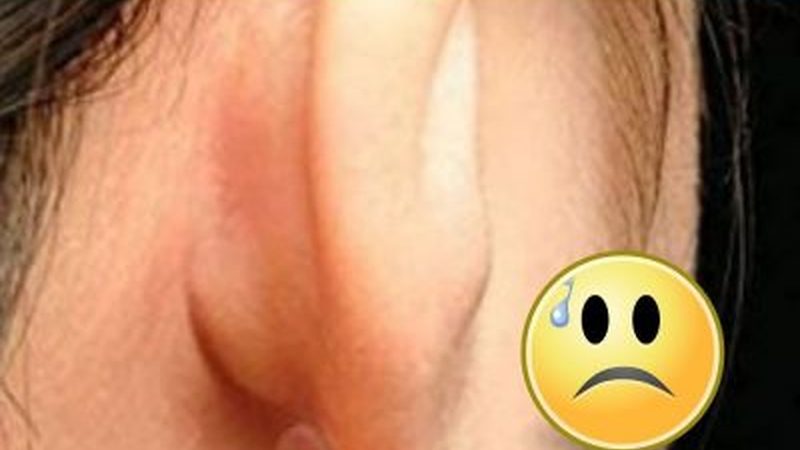 同样的功能，报价差三倍？门户网站定制开发的定价逻辑