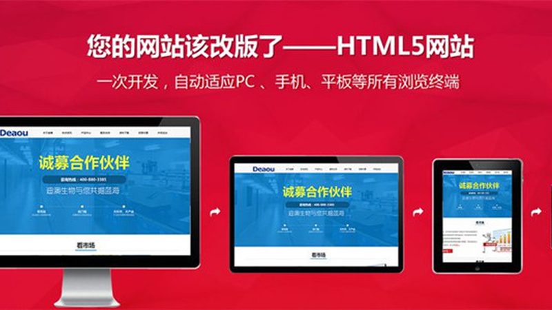 外贸企业如何抓住数字化机遇？解析外贸网站建站代理加盟方案**